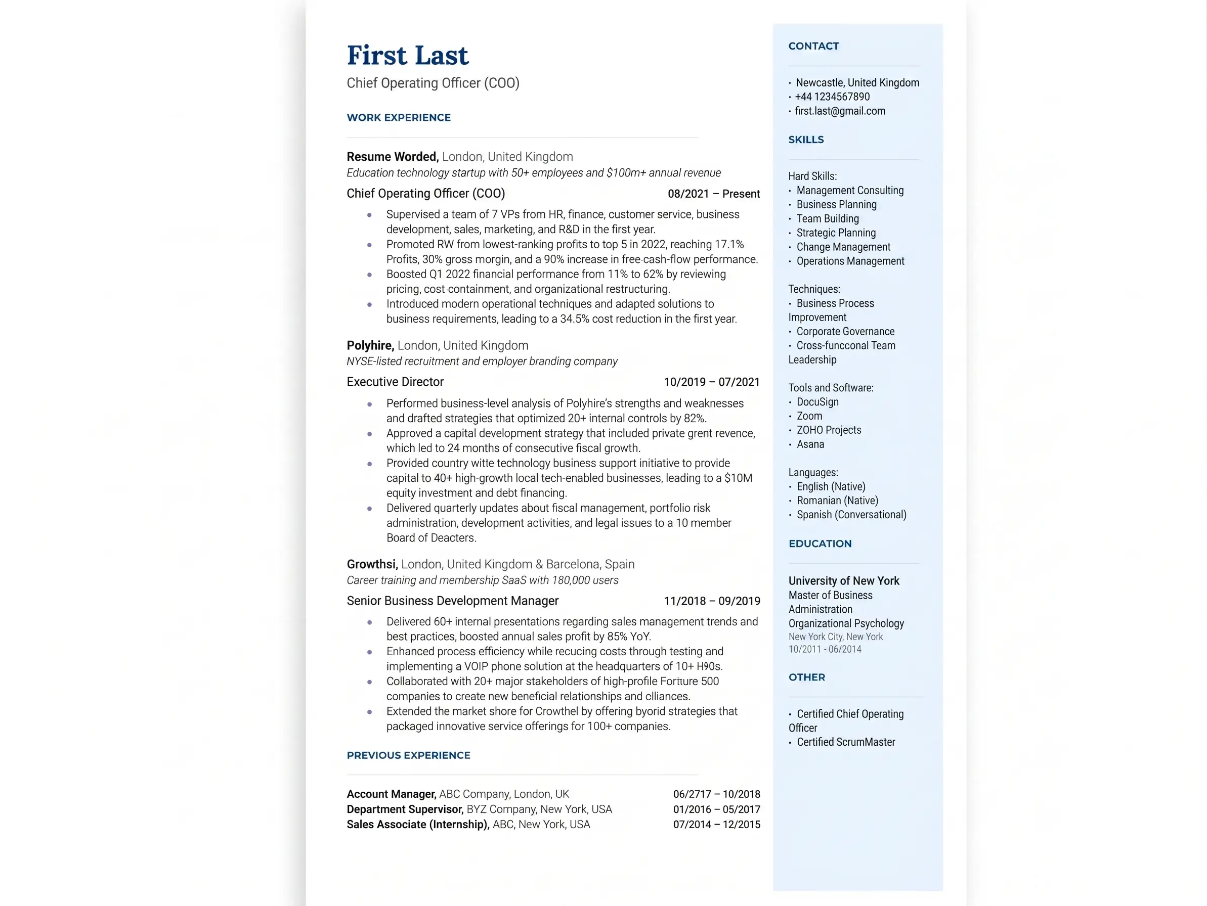 CEO CV sample resume example with 2026 executive trends